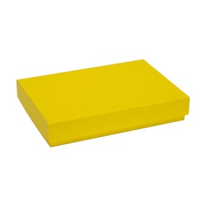 Dárková krabice s víkem 300x200x50/40 mm, žlutá