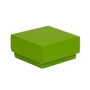 Dárková krabička s víkem 100x100x50/40 mm, zelená