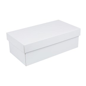 Dárková krabička s víkem 250x170x110/35, bílá mírný lesk