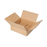 Krabice z pětivrstvého kartonu 380x255x125, klopová (0201) KRAFT