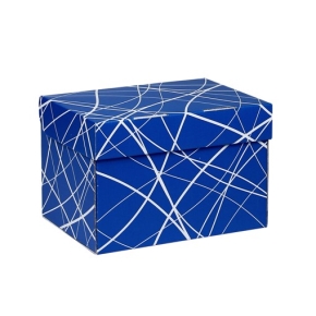 Úložná krabice 205x150x140 mm, modrá se vzorem