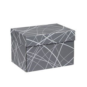 Úložná krabice 205x150x140 mm, šedá se vzorem