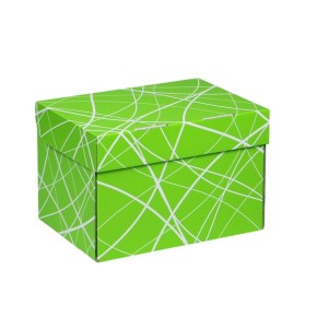 Úložná krabice 205x150x140 mm, zelená se vzorem