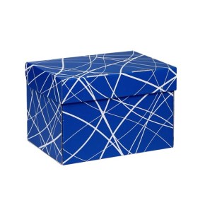 Úložná krabice 330x220x150 mm, modrá se vzorem