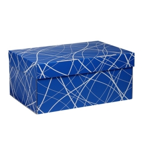 Úložná krabice 470x345x160 mm, modrá se vzorem