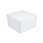 Úložná krabice s víkem 250x250x150 mm, bílo/bílá