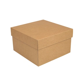 Úložná krabice s víkem 250x250x150 mm, kraftová