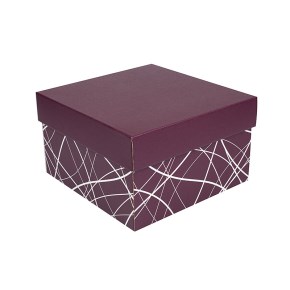 Úložná krabice s víkem 250x250x150 mm, vínová, dno se vzorem