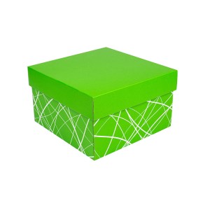 Úložná krabice s víkem 250x250x150 mm, zelená, dno se vzorem