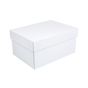 Úložná krabice s víkem 300x215x150 mm, bílo/bílá