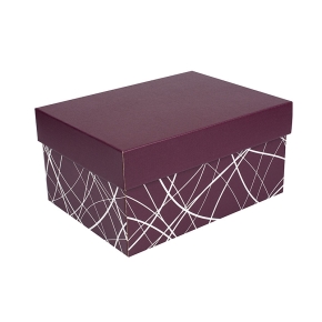 Úložná krabice s víkem 300x215x150 mm, vínová, dno se vzorem