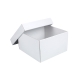 úložná krabice s víkem 300x300x250 mm, bílo/bílá