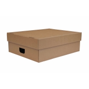 Úložná krabice s víkem 500 x 350 x 140 mm